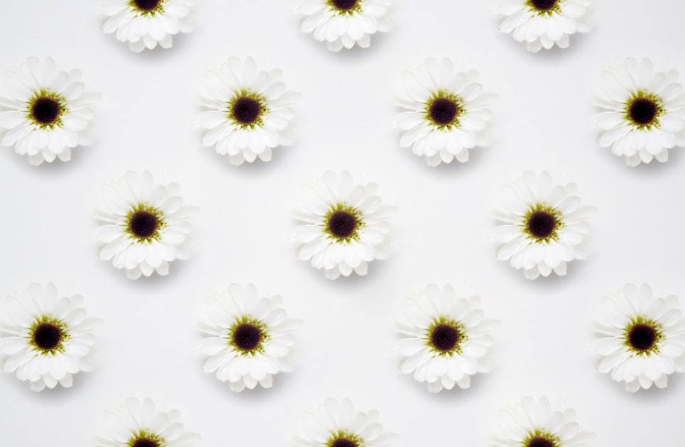 Tips for Designing from Scratch