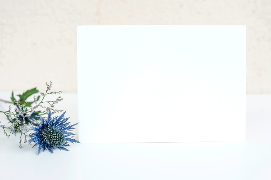 Starting with a Blank WordPress Site